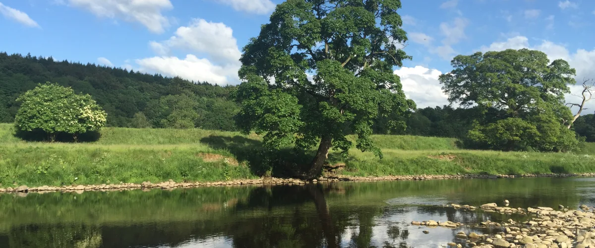 A wider view of a UK freshwater habitat, a stretch of river or large still water with surrounding habitat visible: woodland edge, meadow, the whole-water context.