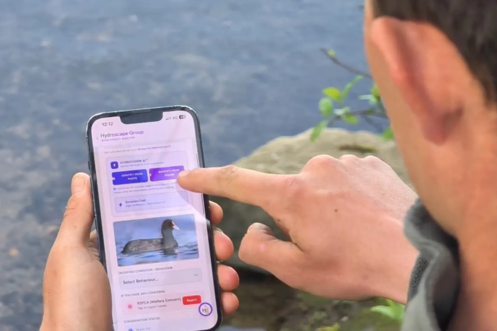 An angler at the bankside holds a phone showing the Hydroscape Biodiversity Monitor mid-submission — HydroVision AI species identification visible, finger mid-tap on Identify from Sound, an Eurasian Coot result on screen, water and rocks behind. The phone in the hand at the water rather than the phone in the hand on social media.