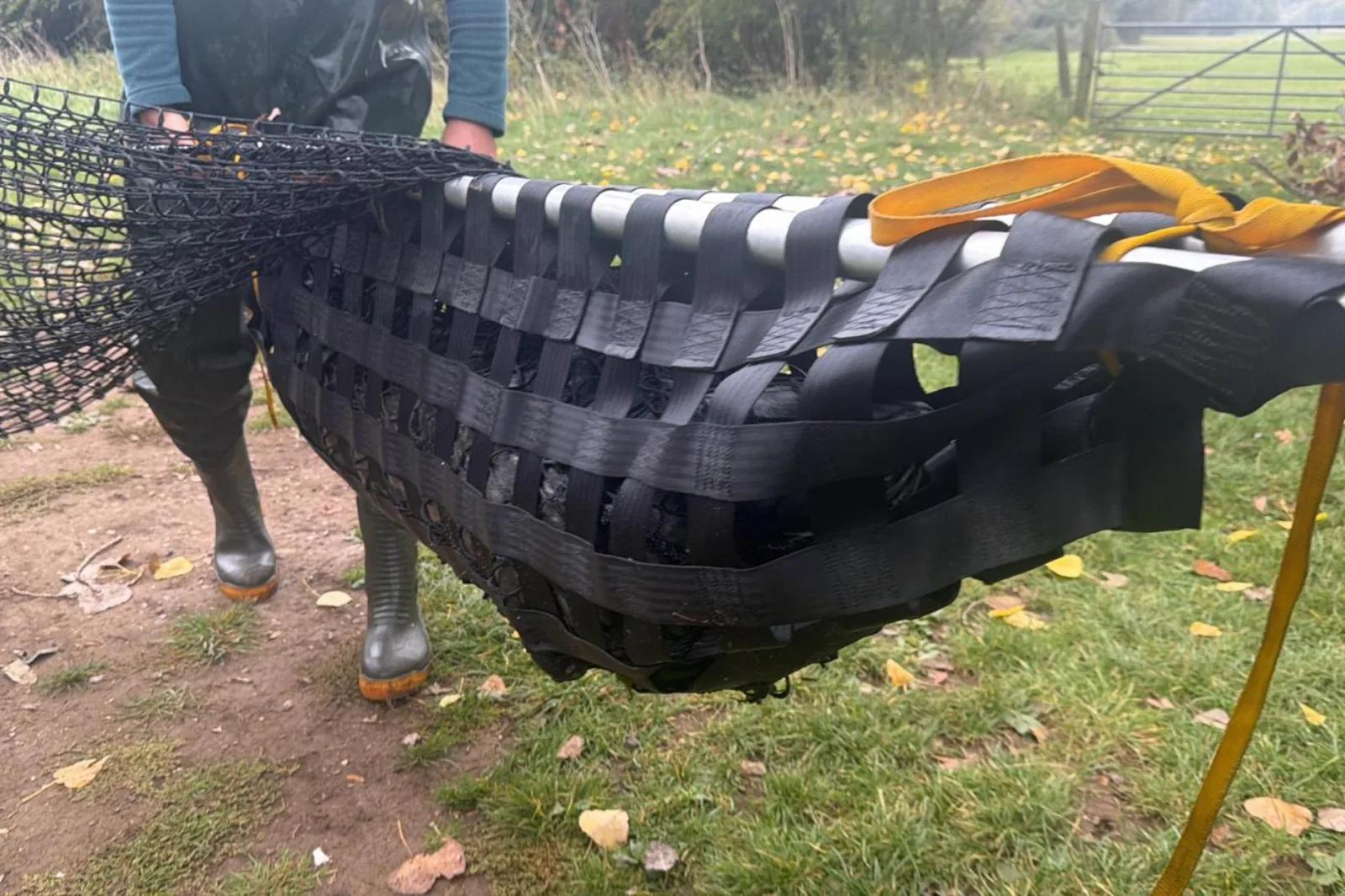 The netting and capture operation on the River Nene, or veterinary assessment of a captured seal. Specialist contractors at work; the seal handled in accordance with welfare protocols; equipment and team conduct visible. Documents the practical reality of the relocation operation rather than the policy debate around it.