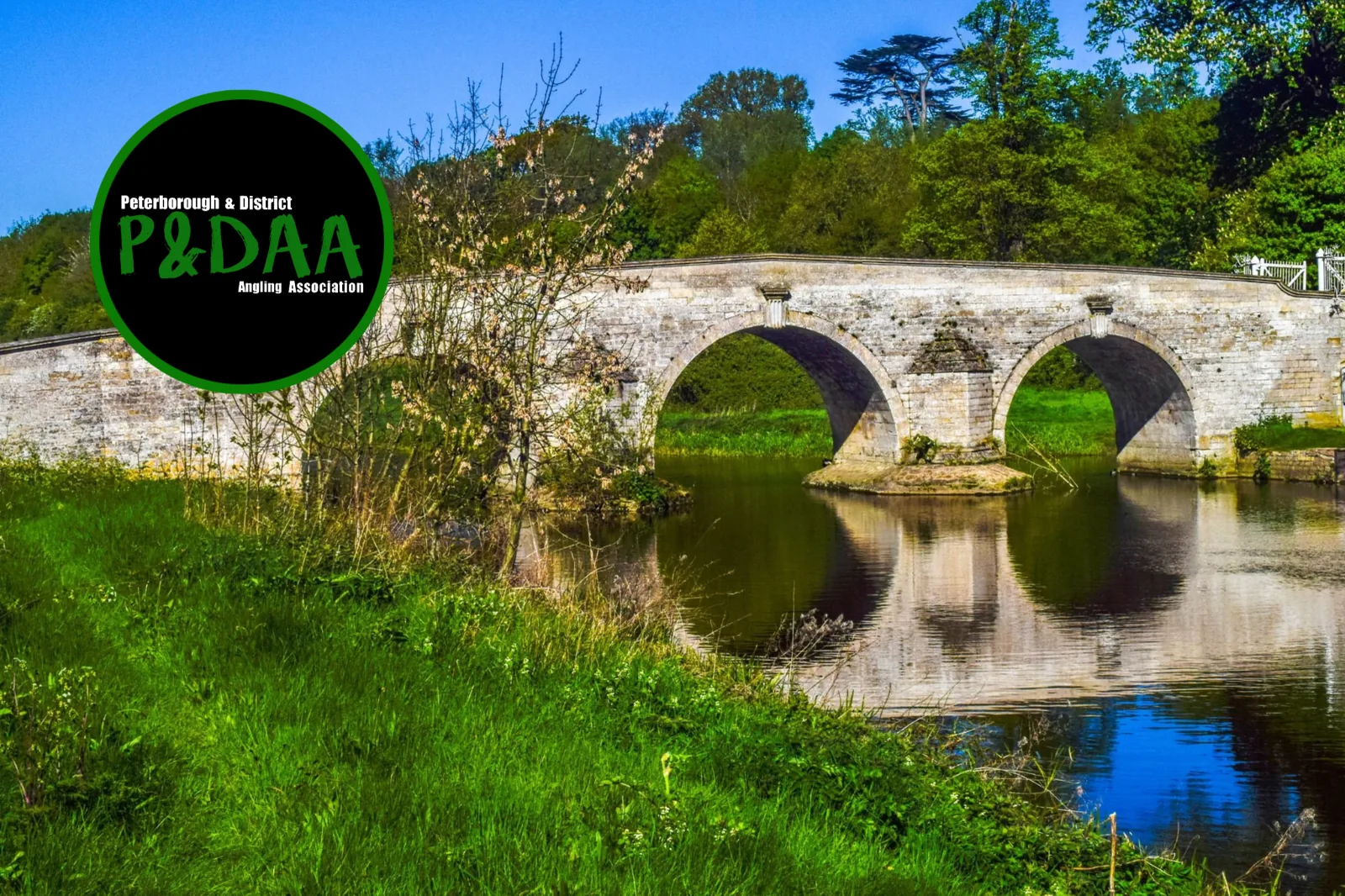 A historic stone bridge over the River Nene, with the Peterborough & District Angling Association logo lockup overlaid in the upper-left corner. The river reflects the bridge arches; lush riparian vegetation lines the bank. The image establishes both the geography of the case study and the club's identity as the originating organisation.