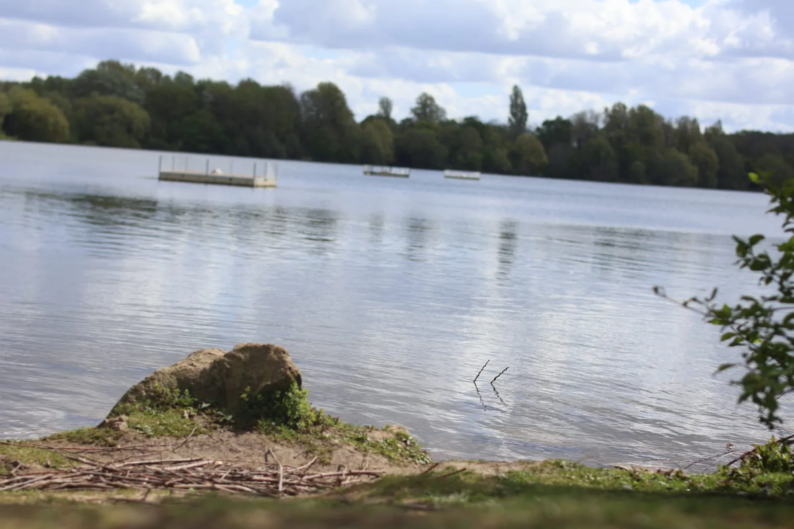 The P&DAA team after the successful rescue, or the River Nene at its best — looking forward to recovery. Closing emotional anchor: the people whose evidence drove the case, or the water that needed defending. The visual that carries the article's final assertion that recovery is possible and underway.