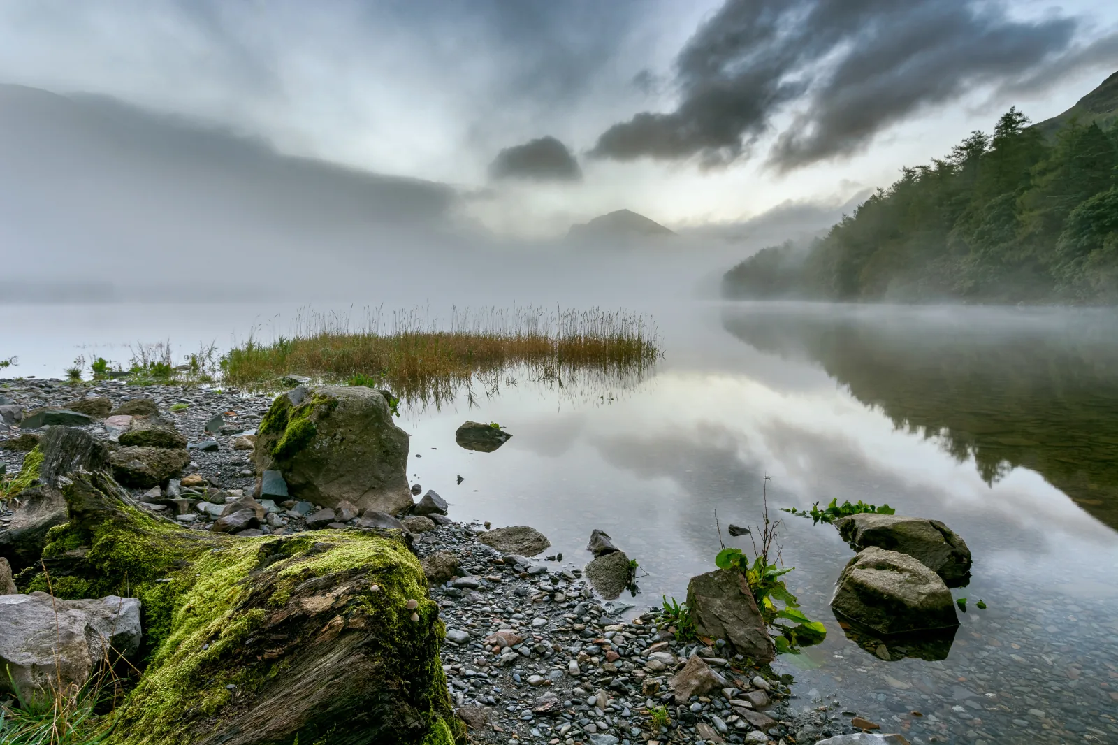 Mist rising over a still UK lake at dawn with reeds, mossy log, and mountains in soft cloud