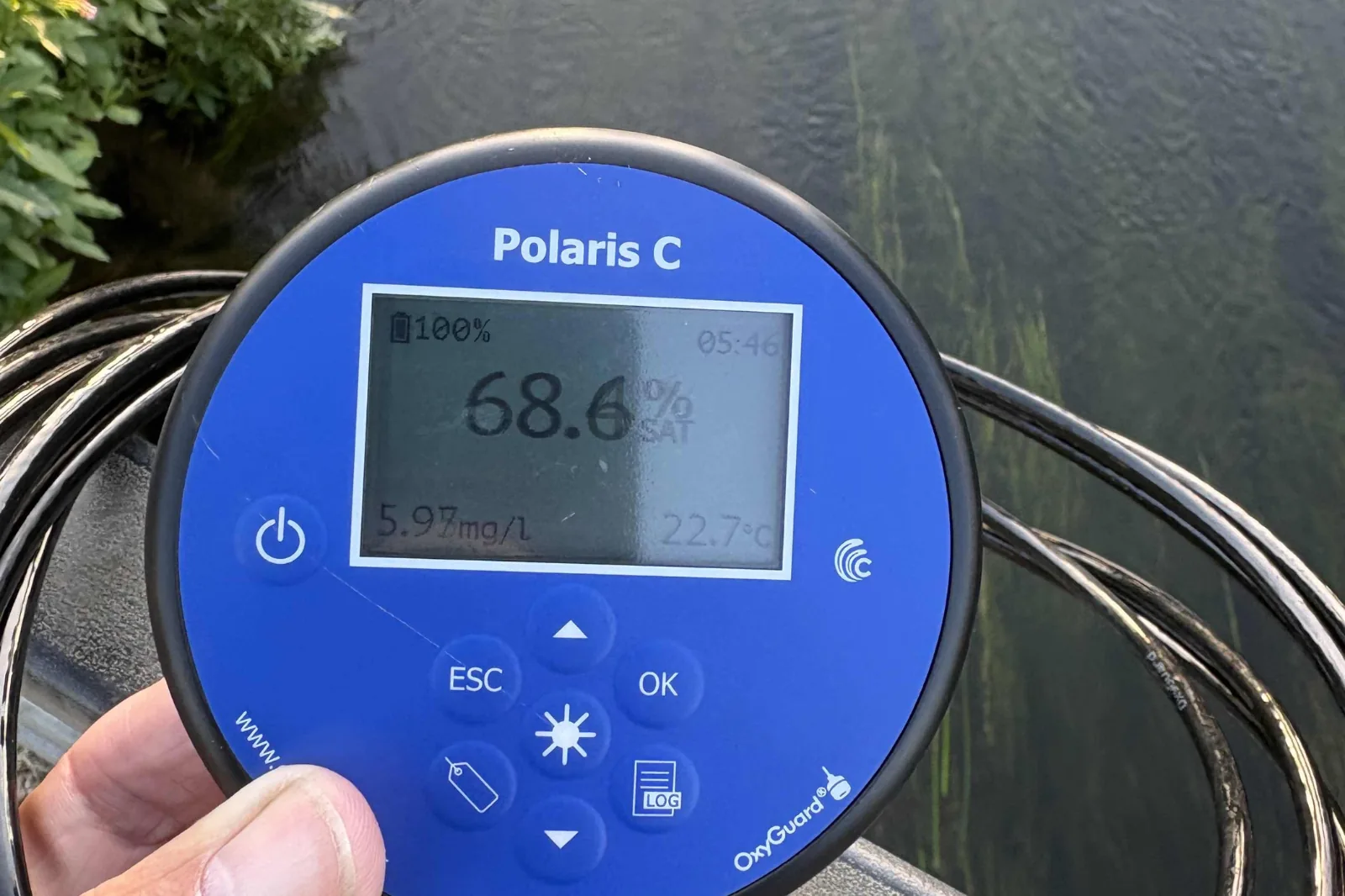A handheld dissolved oxygen meter held at the bankside, display showing 5.97 mg/L, 68.6% saturation, 22.7 degrees Celsius, at 05:46 in the morning